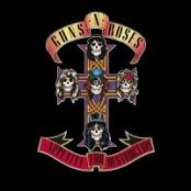 Appetite for Destruction 