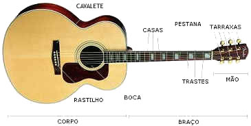 Anatomia do Violo