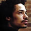 Eagle Eye Cherry