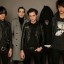 The Horrors